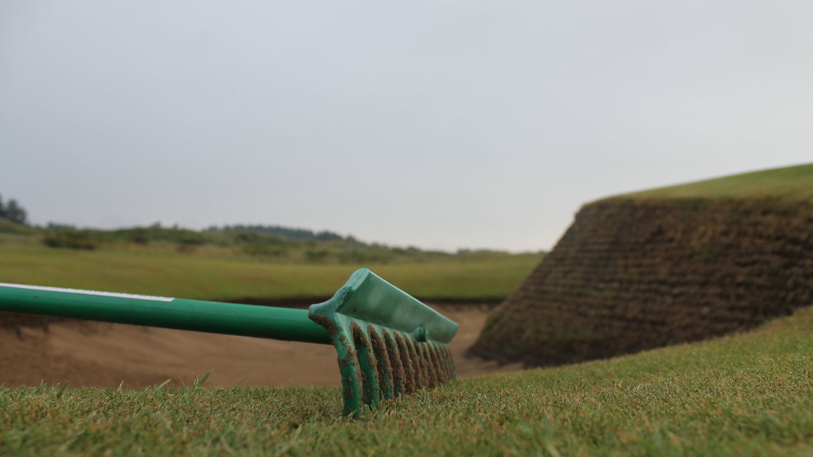 GOLF'S GREAT DEBATE! Do you leave the rake IN or OUT of the bunker?